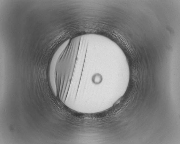 X0000115540697200912041011