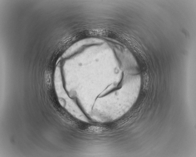 X0000115540699200912041011