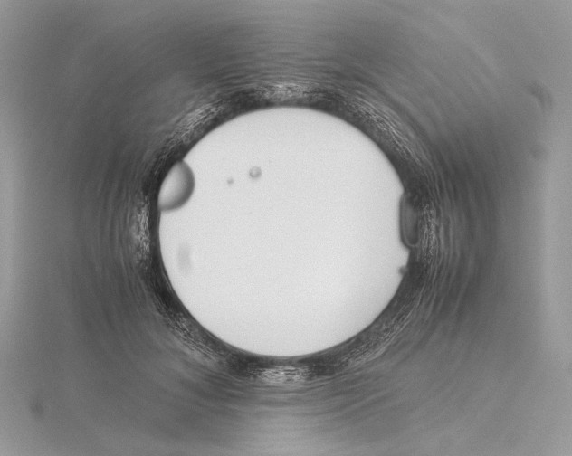 X0000115540700200912041011