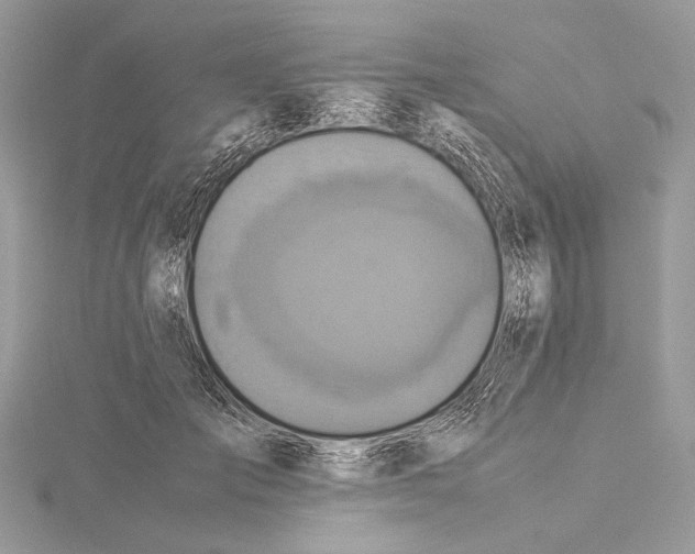 X0000115540701200912041011