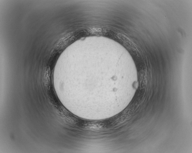 X0000115540702200912041011