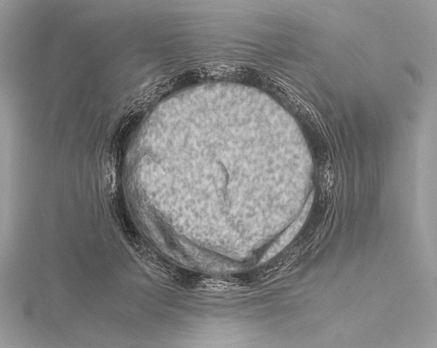 X0000115540703200912041011