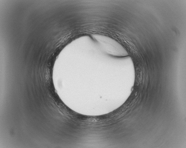 X0000115540704200912041011