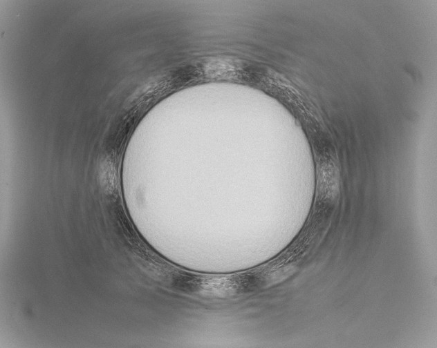 X0000115540705200912041011