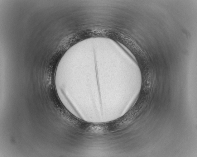 X0000115540706200912041011