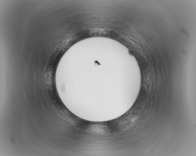 X0000115540708200912041011