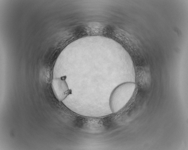 X0000115540709200912041011