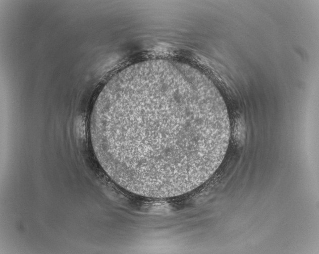 X0000115540715200912041011