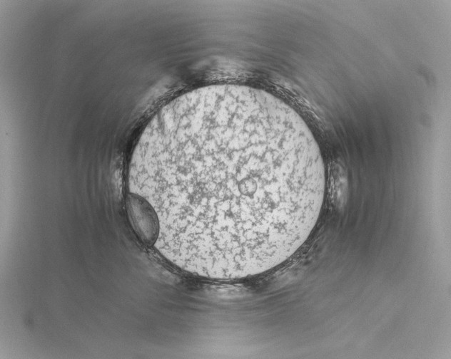 X0000115540716200912041010