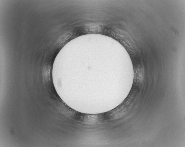 X0000115540717200912041010