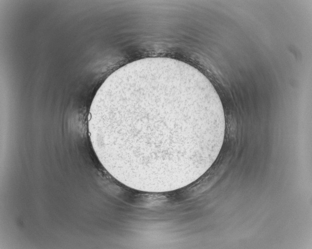 X0000115540719200912041010