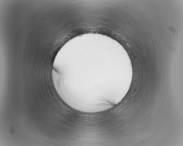 X0000115540720200912041010