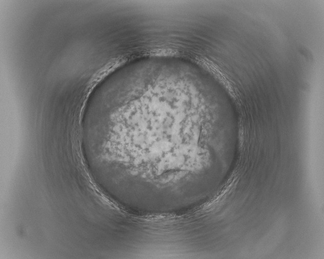 X0000115540721200912041010