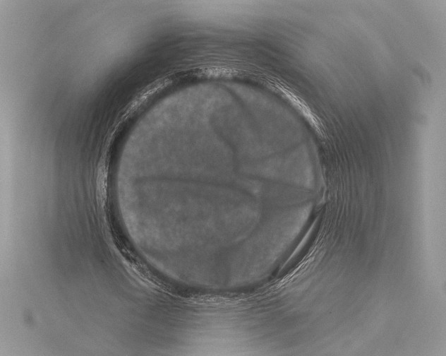 X0000115540722200912041010