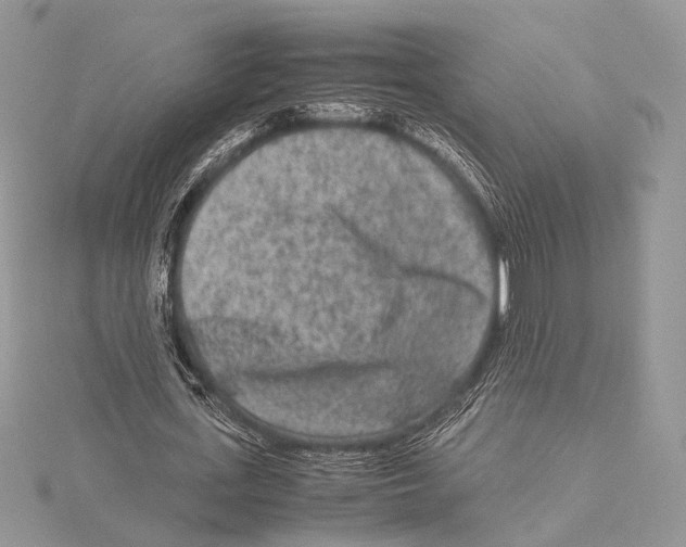 X0000115540723200912041010