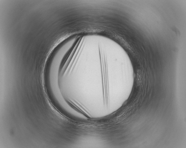 X0000115540726200912041010