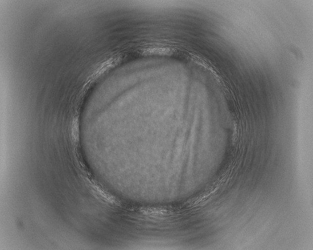 X0000115540729200912041010