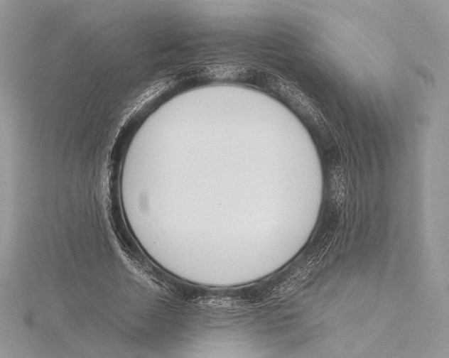 X0000115540730200912041010