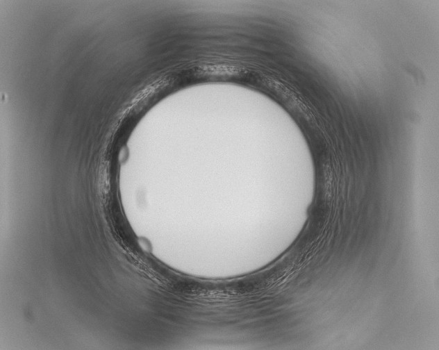 X0000115540731200912041010