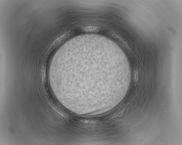 X0000115540733200912041010