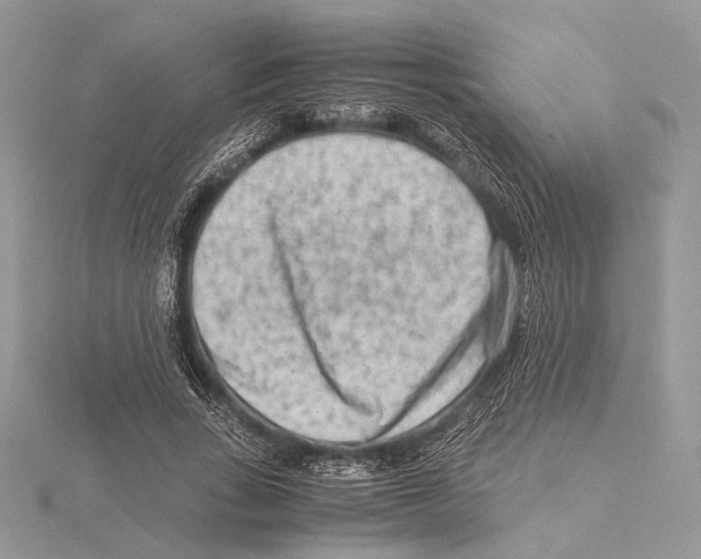 X0000115540735200912041010