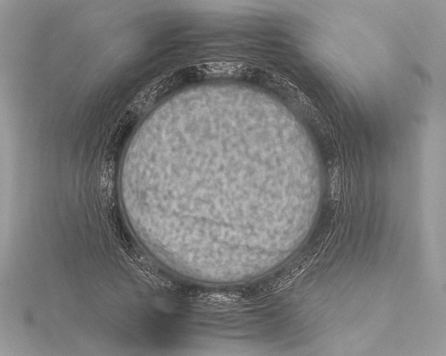 X0000115540737200912041010