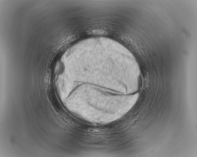 X0000115540739200912041010