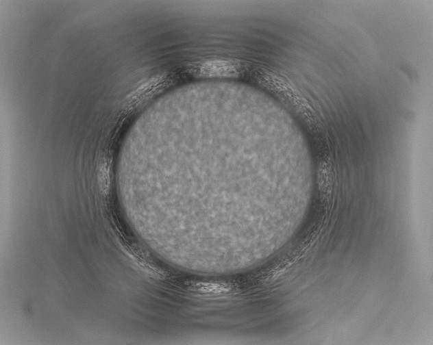 X0000115540741200912041010