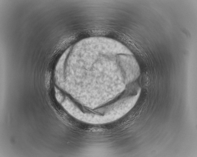 X0000115540742200912041010