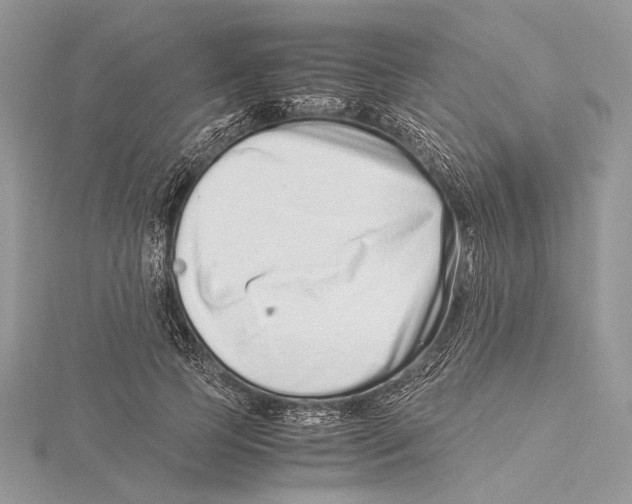 X0000115540745200912041010