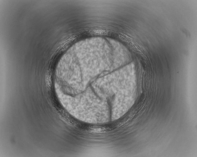 X0000115540746200912041010