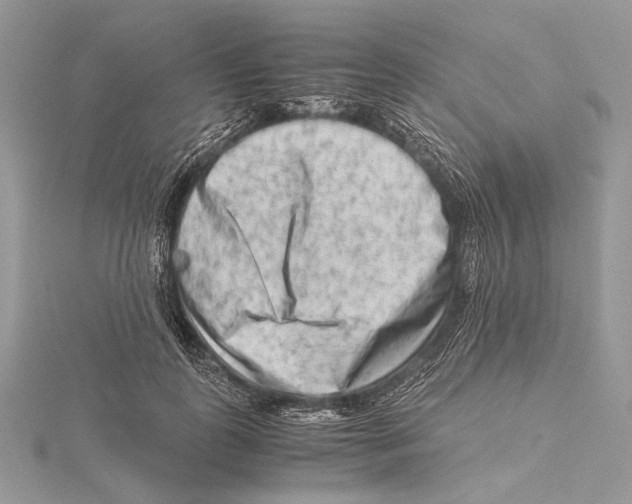 X0000115540747200912041010