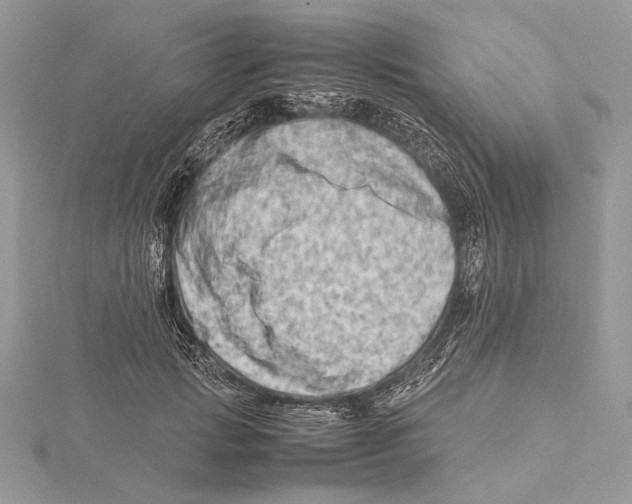 X0000115540749200912041010