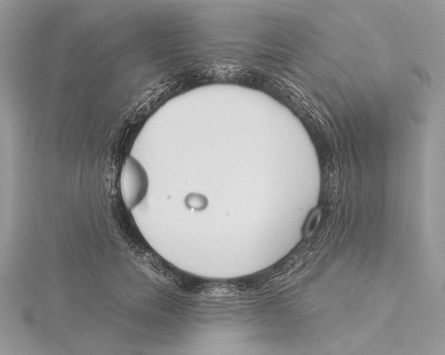 X0000115540750200912041010