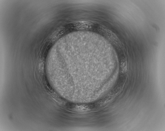 X0000115540753200912041010