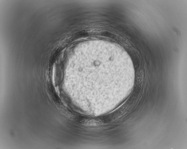 X0000115540755200912041010