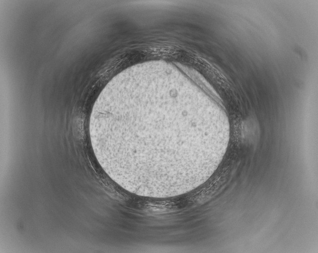 X0000115540757200912041010