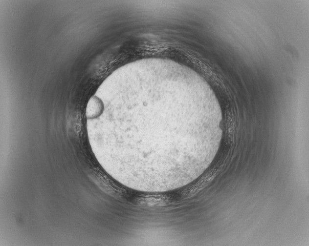 X0000115540758200912041010