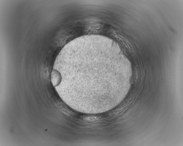 X0000115540759200912041010