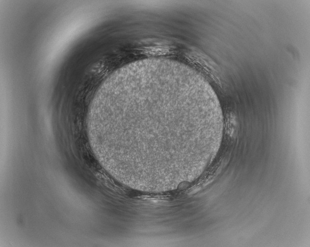 X0000115540763200912041010