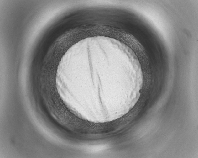 X0000115540765200912041010