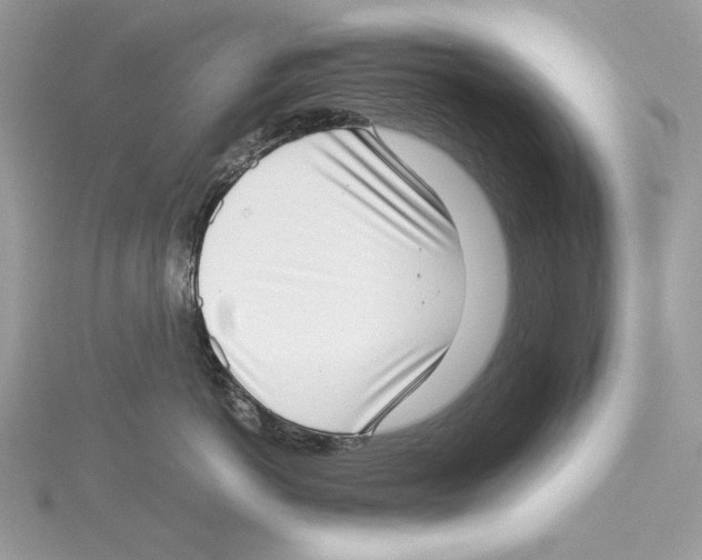 X0000115540766200912041010