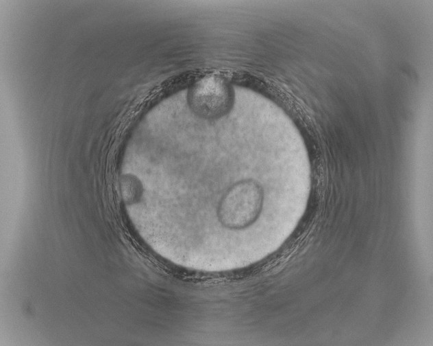 X0000115540769200912041010