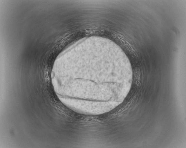 X0000115540770200912041010