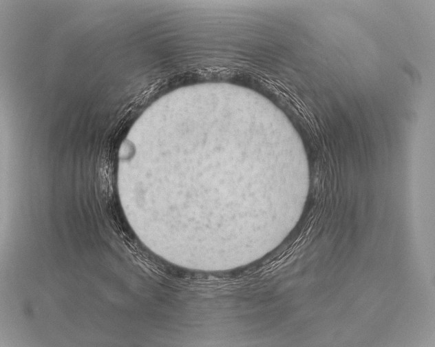 X0000115540772200912041010