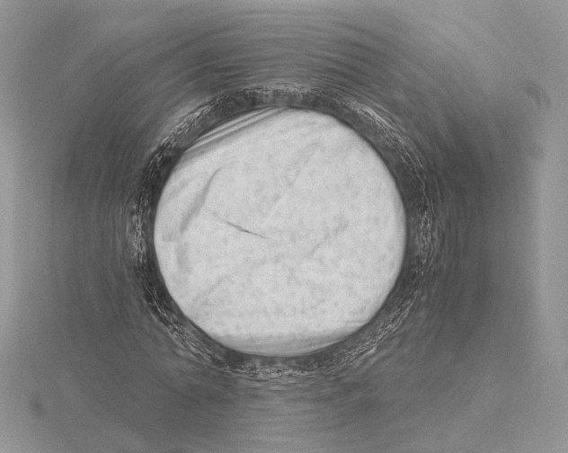 X0000115540774200912041010