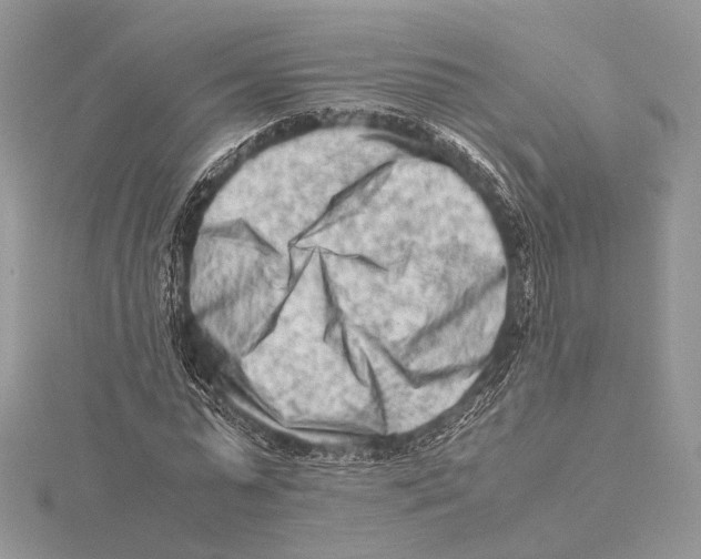 X0000115540775200912041010