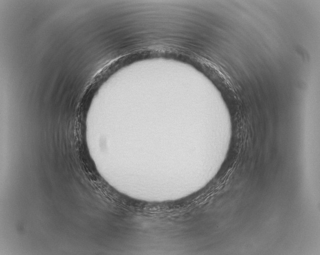 X0000115540776200912041010