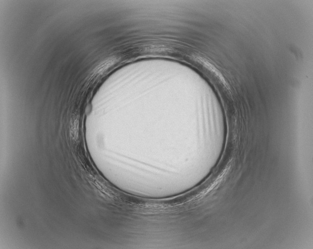 X0000115540777200912041010