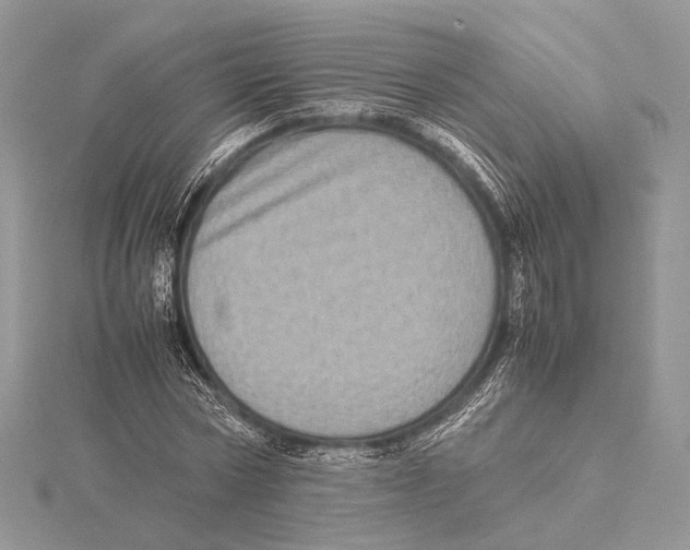 X0000115540778200912041010